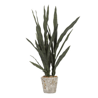 Faux Mother In Law's Tongue Plant in Cement Planter