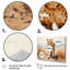 Guépard beige en Afrique - décoration murale africaine-510621519-510621513