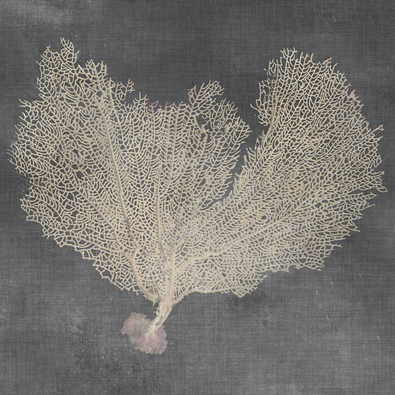Éventail naturel de mer VI, H 30 po x l 30 po, Non, Toile tendue