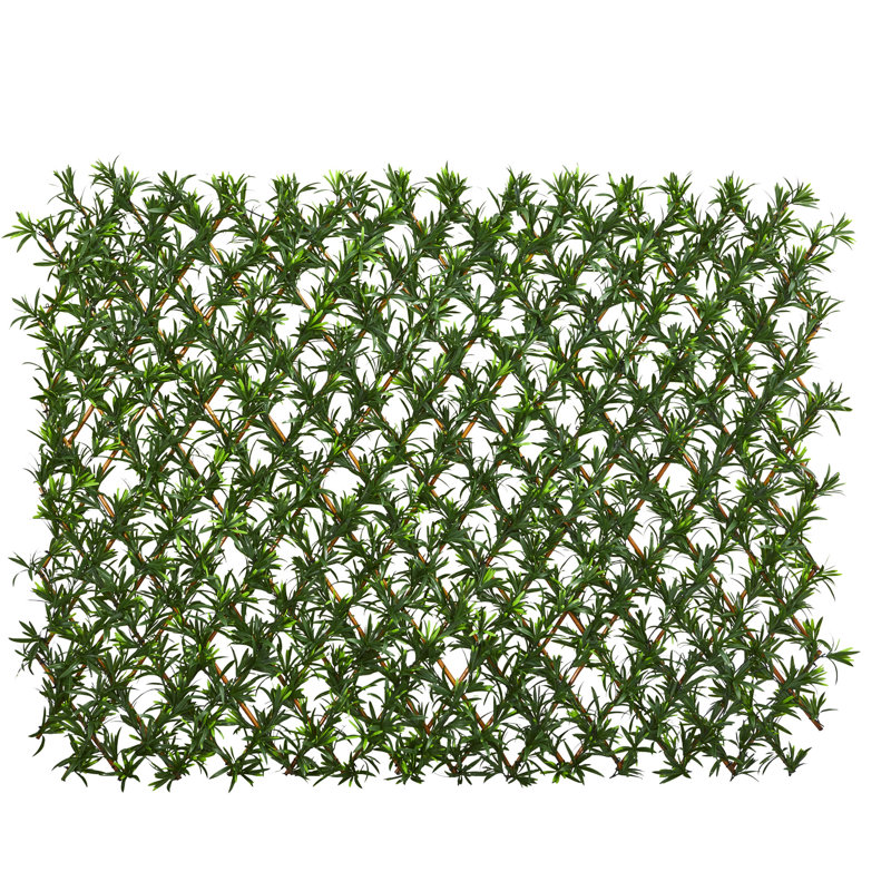 Clôture extensible Podocarpus résistante aux rayons UV et imperméable