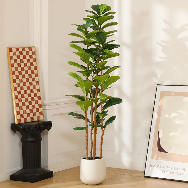 Adcock  Artificial Fiddle Leaf Fig Tree with Realistic Leaves and Natural Trunk, Potted Tree, 72" H x 24" W x 24" D