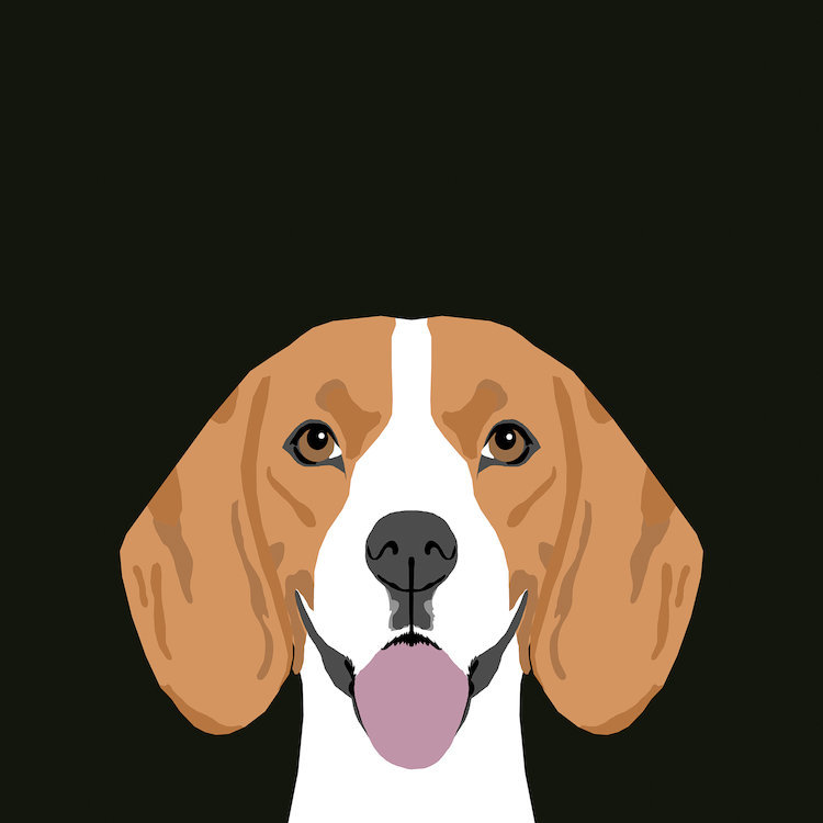 Beagle, impression sur toile tendue, H 26 po x l 26 po x P 1,5 po, Pas de tapis, Toile tendue