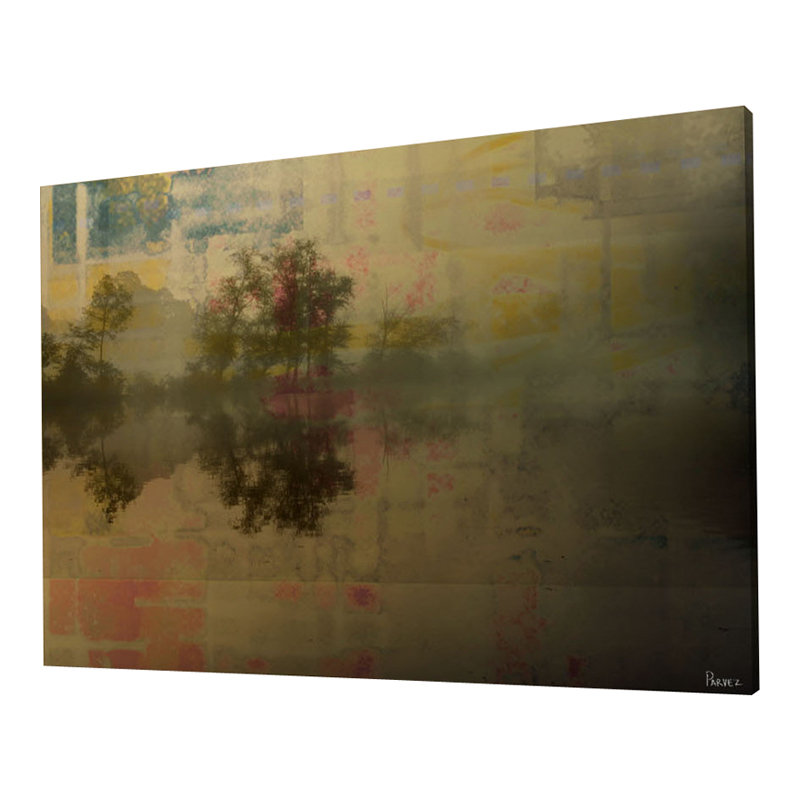 Parvez Taj - Wrapped Canvas Print, 41cm H x 61cm W
