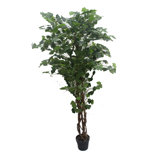 82.7'' Faux Bonsai Tree in Ceramic Pot