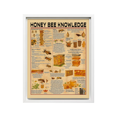 Connaissance de l'abeille
