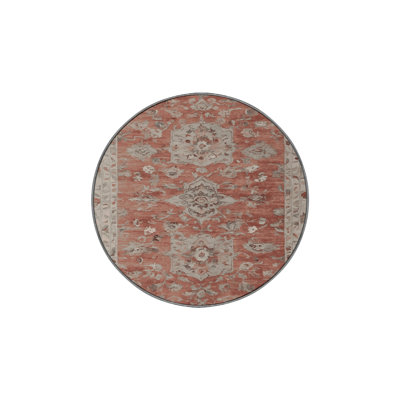 Machine Washable Gray Area Rug