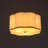 Flush Mount Ceiling Light