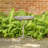 Eugeniya Pedestal Birdbath