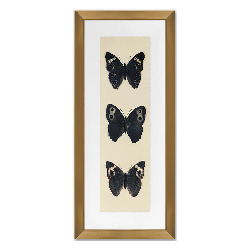 Flutter 5 Print by Todaro, Katie