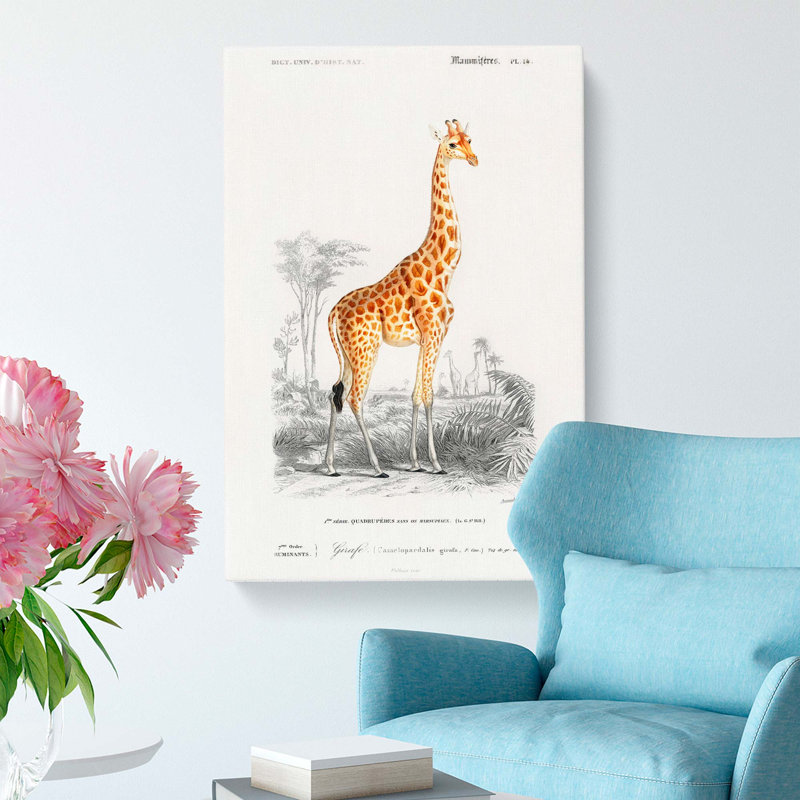 Giraffe by Charles D Orbigny - Wrapped Canvas, 50cm H x 35cm W x 3cm D