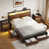 Brown est en rupture de stock