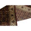Oriental Area Rug