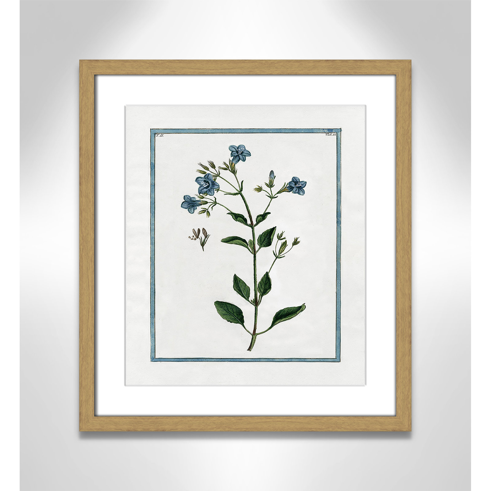 Colombe "Shabby Elegance Botanical II" Print, 13" W x 15" H, Natural Framed