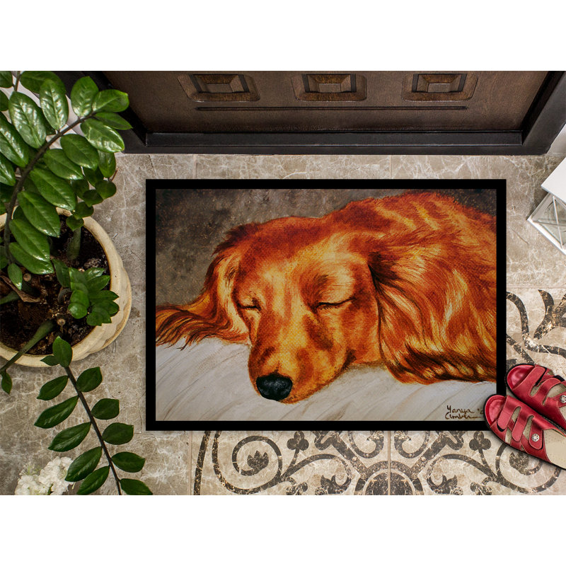 Tapis de porte pour l’extérieur antidérapant lolonghaired teckel, Rectangle 2 pi x 3 pi