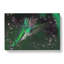 Green-Crowned Hummingbird In Abstract - Wrapped Canvas-55309547