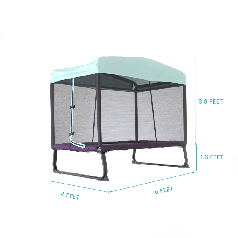 Skywalker Indoor/Outdoor Trampolines for Kids 6x4' Eeyore Mini Rectangle Trampoline with Enclosure and Canopy