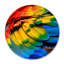 Rainbow Feathers Two Print-61188653-61217717