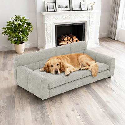 Canapé pour chien 51 po beige, salon pour animaux confortable pour chiens