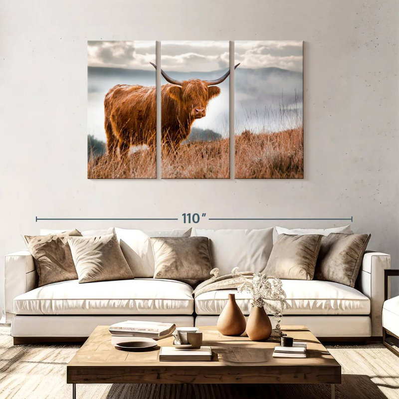 Vache Highland en Écosse, H 48 po x l 74 po