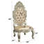 Sorina Upholstered Side Chair in Antique Gold (Set of 2)