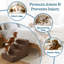Escalier pour animaux en mousse pour petits chiens, chats, lapins et plus PETMAker (brun)-1005733024-1037747279