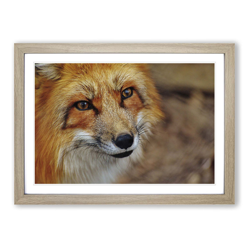 Single Picture Frame Print, Oak