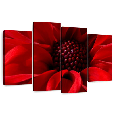 Harnek Red Flower Bloom