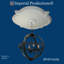 Médaillon de plafond