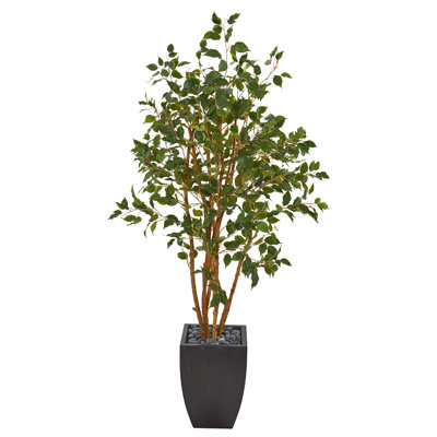 58'' Faux Ficus Tree in Ceramic Planter