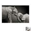 Print on Canvas-168630869-168630895