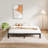 Bed Frame, MetalBed Frame Bed Frame No Box Spring Needed, Heavy Duty PlatformBed Frame With Storage Space, SturdyBed Frame Size Non-Slip Noiseless-1362742259