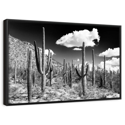 Arizona noir - forêt de cactus