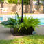 Base de parasol Quesha-1931934625
