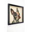 « french bouledogue », impression