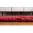 Carlosadrian Oriental Indoor Rug-1941360263