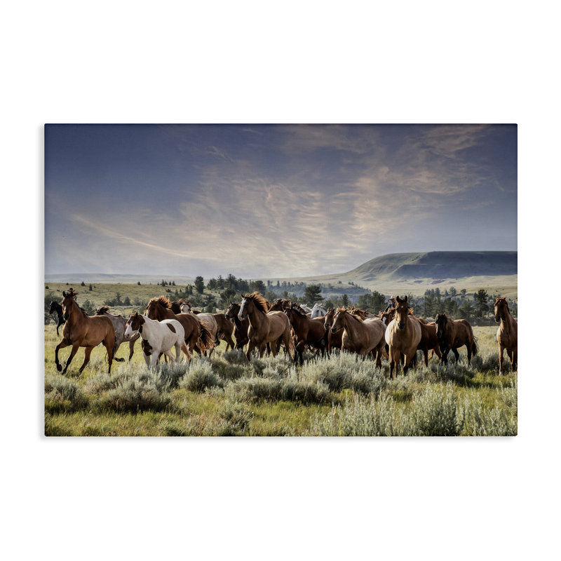 Art mural sur toile Bustling Horse Herd in Nature, design par PHBurchett, H 20 po x l 30 po
