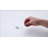 Rain Adjustable Shower Head 1.8 GPM GPM-86823187