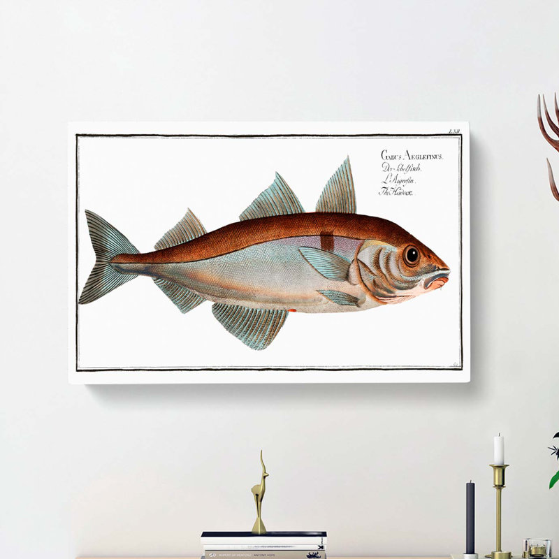 Haddock Fish by M.E. Bloch - Wrapped Canvas, 40cm H x 60cm W x 3cm D