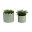 Ensemble de 2 pots à fleurs Weeda-78458147-78458146