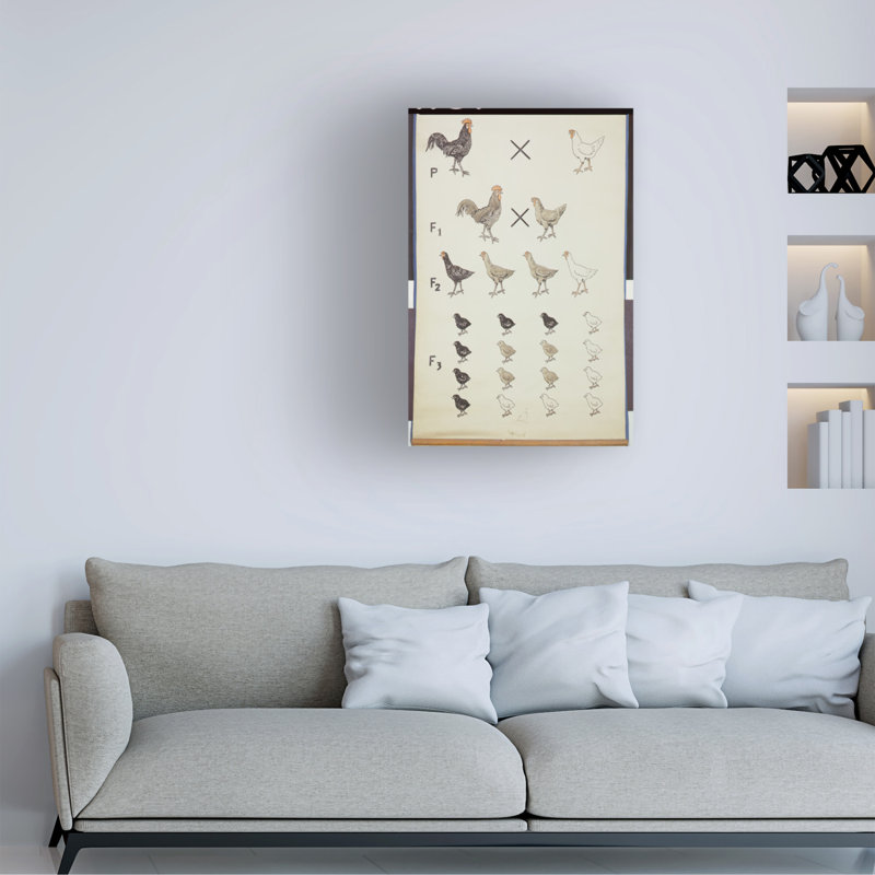 Art allemand, affiche de l'école allemande «Mendels Law in Chickens», 47" H x 30" W