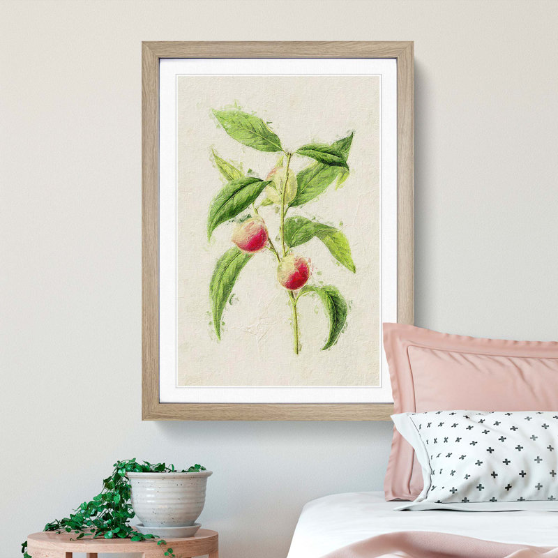 Illustration of Peaches - Picture Frame Painting Print, 48cm H x 36cm W x 2cm D, Oak Framed