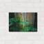 «Tropical Leaves» par Dennis Frates-101450446