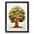 Black is unavailable