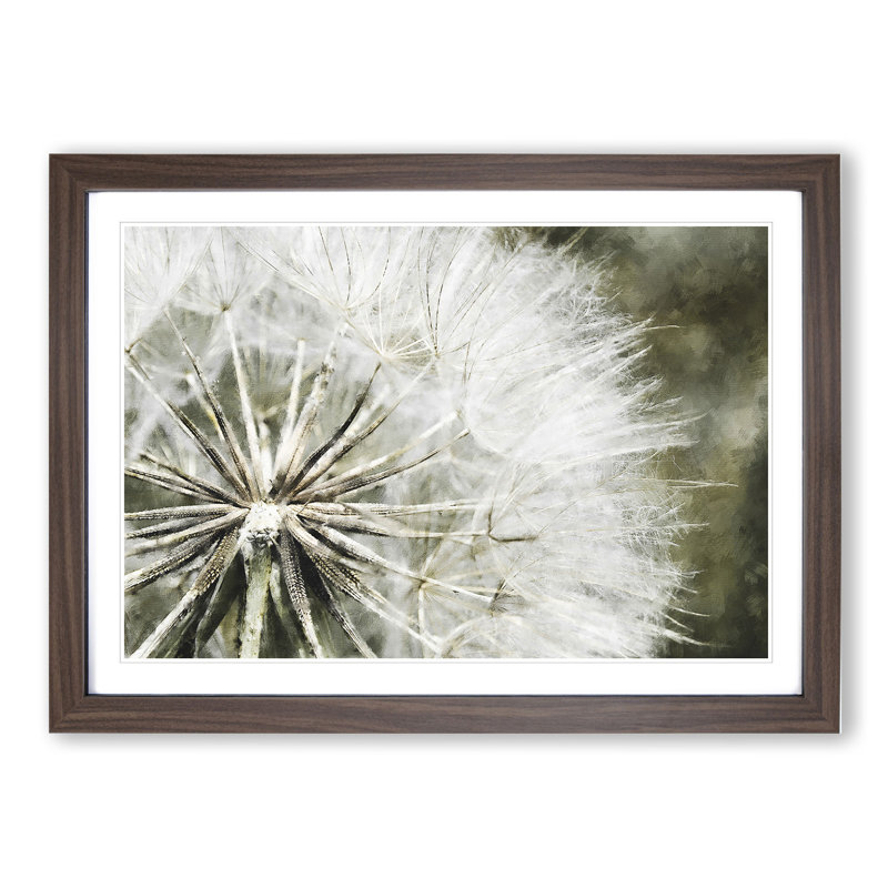 Dandelion Seeds Vol.4 - Picture Frame Graphic Art, 27cm H x 36cm W x 2cm D, Walnut Framed