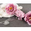 Rond de serviette Jacque-1051504269