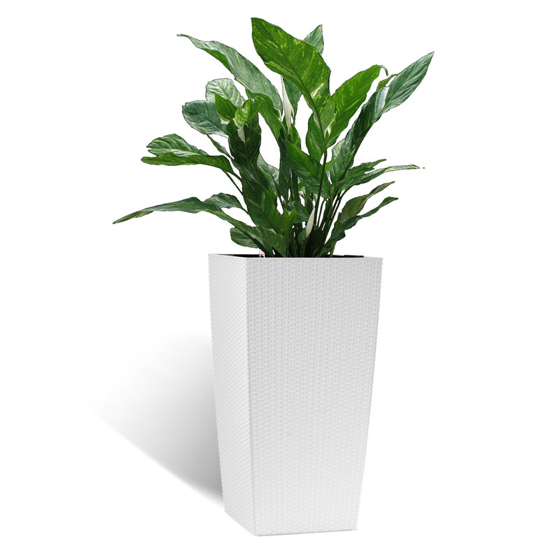 Pot à fleurs en plastique blanc de 30 pouces avec hydratation automatique et fonction d'auto-arrosage en polypropylène de style simple