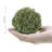 4 Piece Home Décor Decorative Ball Objects Vase Filler