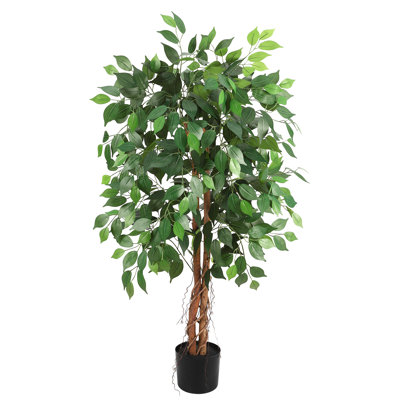 122cm Plant