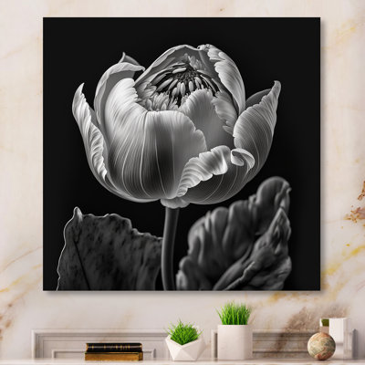 Hafsha Plants & Flowers Wall Decor on Metal