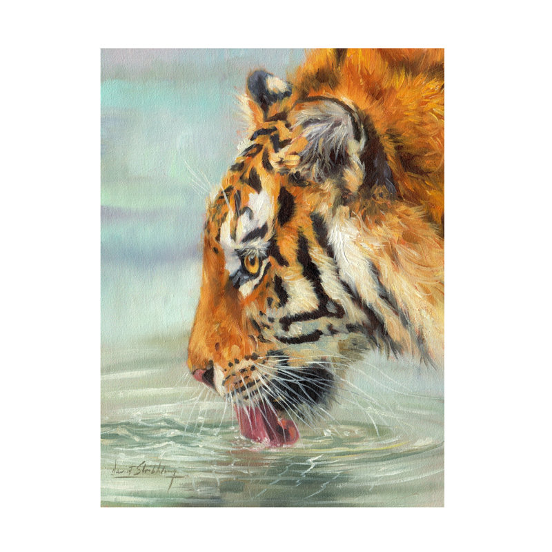 David Stribbling Tiger Drinking Canvas Art, 18" H x 24" W